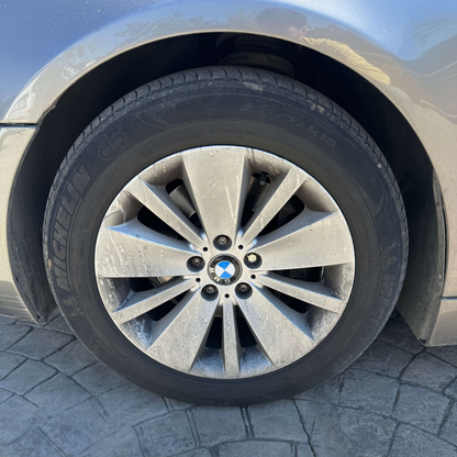 Rostfrei Demir Tozu-Pas Temizleyici 500ML