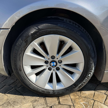 Rostfrei Demir Tozu-Pas Temizleyici 500ML